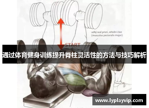 通过体育健身训练提升脊柱灵活性的方法与技巧解析