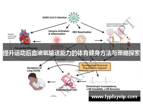 提升运动后血液氧输送能力的体育健身方法与策略探索